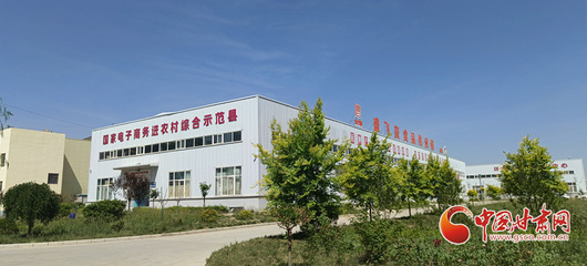 香約慶陽 包容天下丨環縣 以“六統一”模式助推電商發展提檔升級，助力飼料添加劑產業新跨越